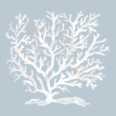 Image Not Available